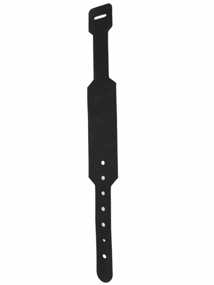 image2-removebg.png
