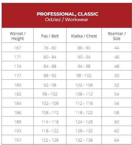 Przechwytywanie.JPG