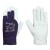 psw-1259-winter.png