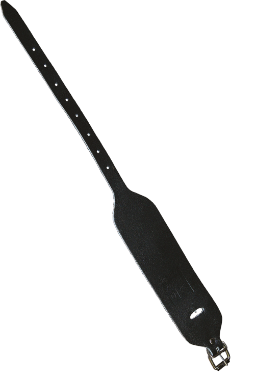 NS-S1-B-max.png