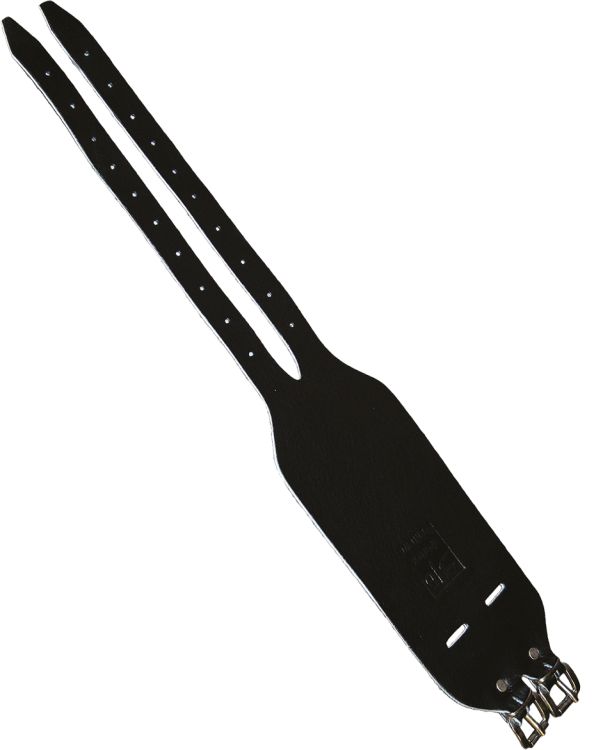 NS-S2-B-max.png
