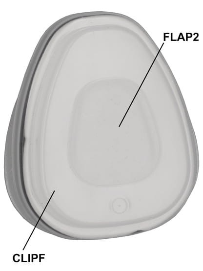 g_CLIPF2P2_2.jpg