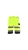 drogowiec short.webp